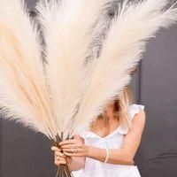 OEM Hierba De La Pampa Artificial, 8 Piezas, 100 Cm, Esponjosa, Seca, Con Plumas, Arreglo Floral (beige, 8) - Crezuo