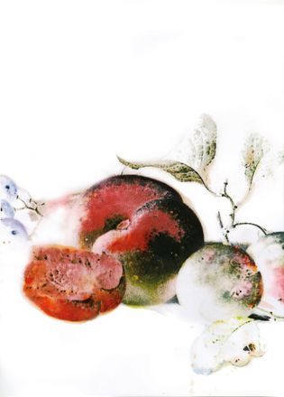 Komar Bild »Dessert Fruité« Natur 1 Stk. tlg. Wandbild zur Dekoration - ohne Rahmen