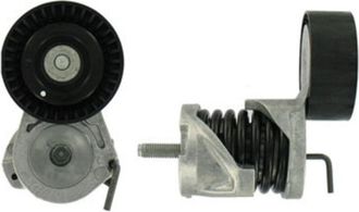 OEM Tensor De Correa Acanalada Skf Bmw E81/e87