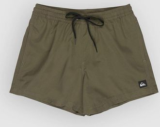 Quiksilver Everyday Solid Volley 15 Boardshorts groen