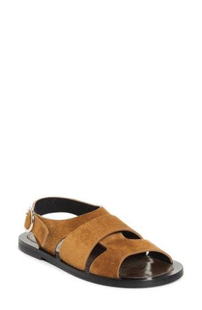 Proenza Schouler Capri Fisherman Sandal in Mushroom at Nordstrom, Size 8.5Us