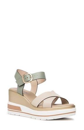 Nero Giardini Platform Wedge Sandal in Ivory /Sage at Nordstrom Rack, Size 10Us / 40Eu