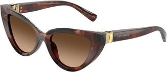Dolce & Gabbana Dg4497 Cat Eye Sunglasses