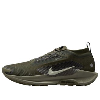 Nike Pegasus Trail 5 Gore-Tex Sequoia Cargo Khaki HQ7494-300