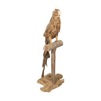 Schubiger M&ouml;bel Figur Papagei Aus Schwemmholz H: 120 cm