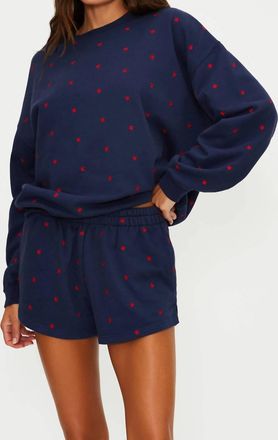 Beach Riot Malik Shorts In Star Spangled Seas