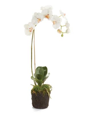Napa Home & Garden 26In Phalaenopsis Orchid Drop-In