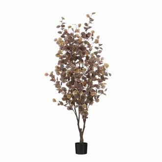 MiCa Decorations Planta artificial de eucalyptus bronce Alt. 180