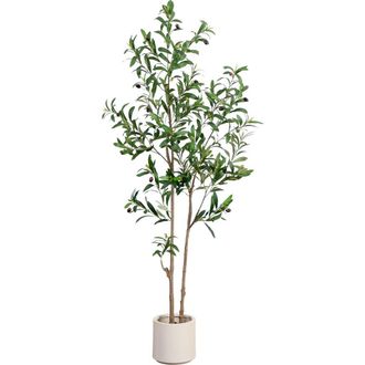 Nearly Natural 5-ft Artificial Minimalist Olive Tree in White Decorative Planter in Green at Nordstrom