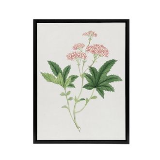 Artery8 Shimotsuke Flower Framed Canvas Wall Art Print Vintage Japan Botanical in Pink | Size: W24 x H32