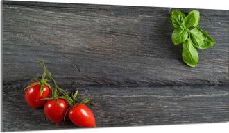 OEM Protector De Cristal Para Estufa 90x52 Tomates