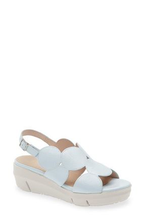 Wonders Platform Sandal in Lack Aura at Nordstrom, Size 9.5-10Us
