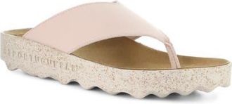 FLY London Cami Platform Flip Flop in Pink at Nordstrom, Size 10-10.5Us