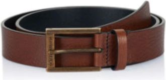 Dolce & Gabbana Heren, Accessoires, Bruin, Maat: 90 CM