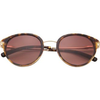 Ted Baker 50mm Gradient Round Sunglasses in Tortoise at Nordstrom Rack