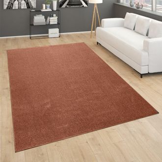 Paco Home Paco Home - Alfombra Sal&oacute;n Pelo Corto Dormitorio Moderno Motivo Monocolor Marr&oacute;n Rojo 200x280 Cm