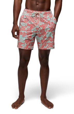 Prana La Jolla Board Shorts in Sea Glass Monstera at Nordstrom, Size Medium