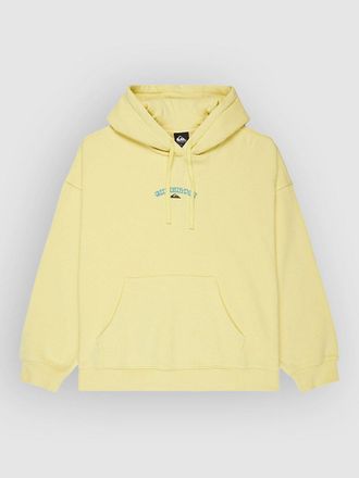 Quiksilver Standard Hoodie gr&uuml;n