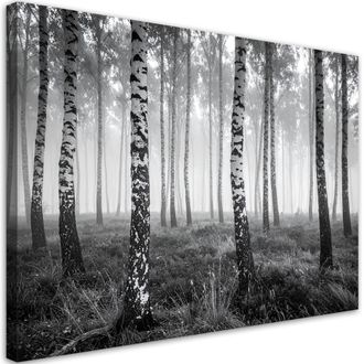 Feeby Cuadro Sobre Lienzo, Bosque De Abedules Niebla Paisaje En Blanco Y Negro, 100x70