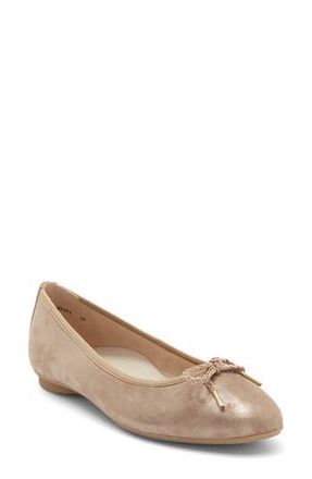 Paul Green Rylan Ballet Flat in Champagne Glass at Nordstrom Rack, Size 10Us / 7.5Uk