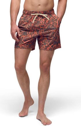Prana Metric Swim Trunks in Lychee Seaweed at Nordstrom, Size X-Large