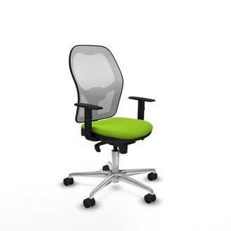 Piqueras y Crespo Piqueras-y-crespo Jorquera Silla De Oficina Pistacho Ergon&oacute;mica