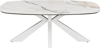 VENTE-UNIQUE.COM Mesa de centro fija cristal templado blanco