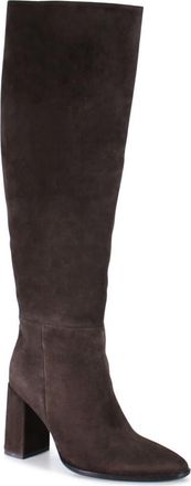 Diba TEXT BACK Suede Stove Pipe Tall Boot in Dark Brown at Nordstrom, Size 6.5