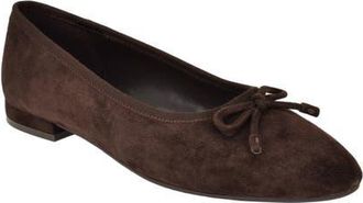 Calvin Klein Cyrie Bow Embellished Ballet Flat in Dark Brown at Nordstrom, Size 7.5