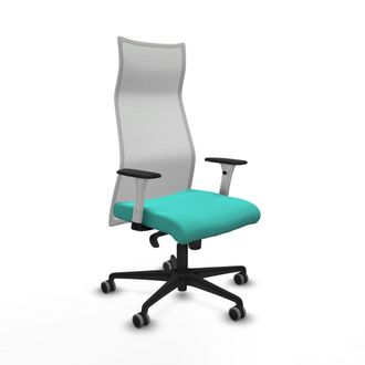 Piqueras y Crespo Silla De Oficina Piqueras Y Crespo B1b036g Turquesa