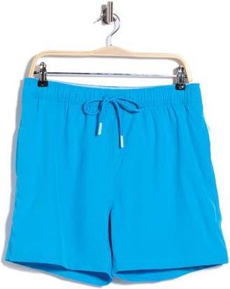 Vintage Summer Swimwear Performance Volley Swim Shorts in Bright Blue at Nordstrom Rack, Size Xx-Large