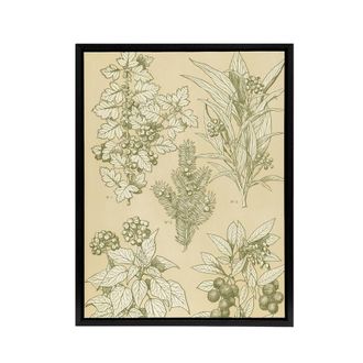 Artery8 Leaves From Nature No 7 Botanical Jones Vintage Framed Canvas Wall Art in Beige | Size: W24 x H32