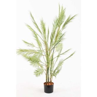 Regalos Miguel Regalos Miguel - Figuras Decorativas - Planta Artificial Palmera Helechosa - 120