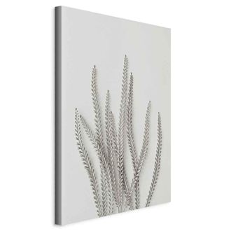 OEM Imagen - Plant Myriad (1 Parte) Vertical