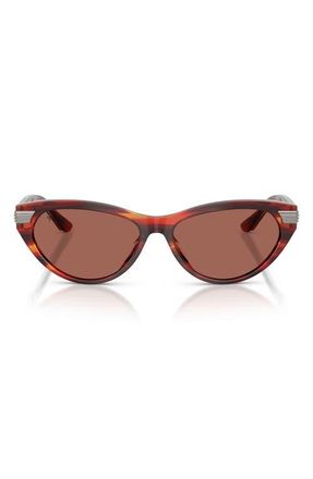 Ferrari 56mm Cat Eye Sunglasses in Striped Brown /Brown at Nordstrom