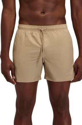 Sundek Solid Swim Trunks in Safari at Nordstrom, Size X-Large