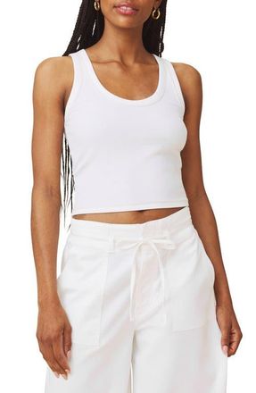 Splendid Roma Cotton Blend Tank in White at Nordstrom, Size X-Large