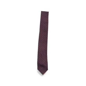 Ferragamo Ties And Bow Ties