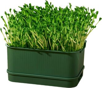 OEM Bandeja De Germinaci&oacute;n, Herramienta Hort&iacute;cola, Bandeja De-d1
