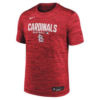 Nike St. Louis Cardinals Authentic Collection Nike Mens Dri-FIT MLB T-Shirt in Red | 02ER62QSCN-RMG