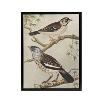 Artery8 Two Birds on Tree Branches Framed Canvas Wall Art Print van Hoytema | Size: W24 x H32