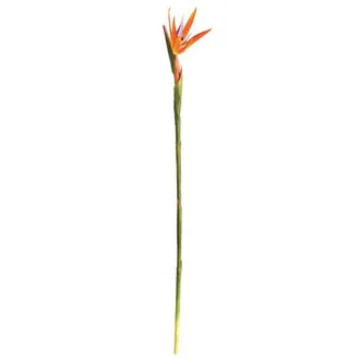 Napa Home & Garden 31.5 Bird Of Paradise Artificial Stem in Orange at Nordstrom