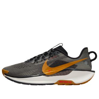Nike Pegasus Trail 5 Black DV3864-009