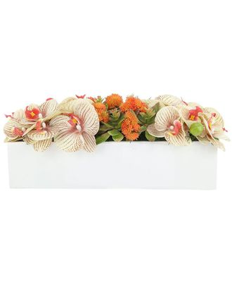 Creative Displays Inc. Contemporary Cream Orchid & Succulent In Fiberstone Planter