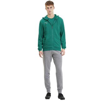 Puma Heren TeamGoal 23 Casuals Full Zip Hoodie (Pepergroen)