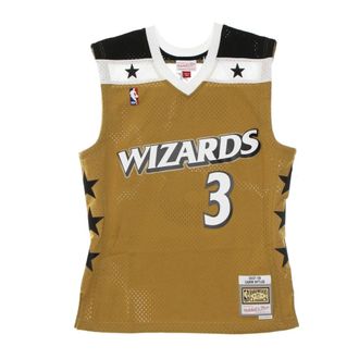 Mitchell & Ness Sportswear, male, Green, Size: XL NBA Swingman Jersey Hardwood Classics