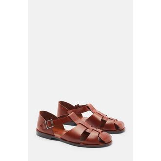 Scarosso Apollo Sandals in Cognac - Calf at Nordstrom, Size 41.5