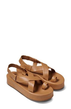 beek Caracara Leather Flatform Sandal in Honey at Nordstrom, Size 11