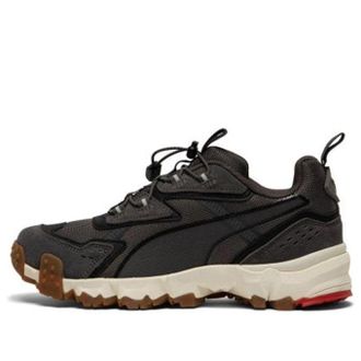 Puma Trailfox Mts Water Gray 372220-02