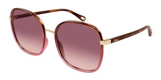 Chloé CH0031S 018 Womens Sunglasses Tortoiseshell Size 59